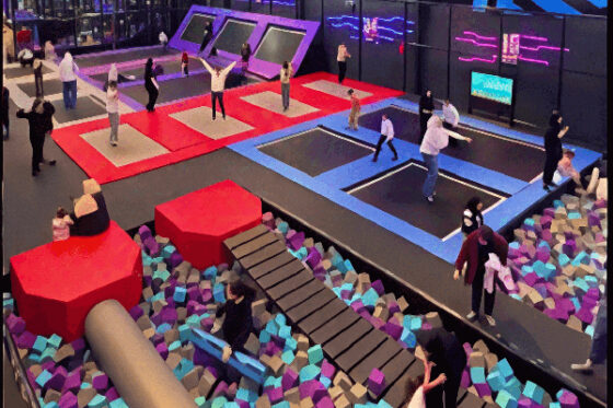 Case Study Of a Customer Purchasing a Trampoline Park In Blida