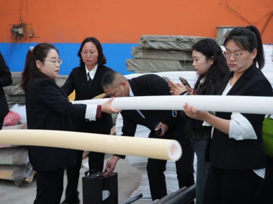 Expertise Built Daily: How Our Monthly Training Empowers Teams to Deliver Premium Custom Indoor Playground Solutions Worldwide